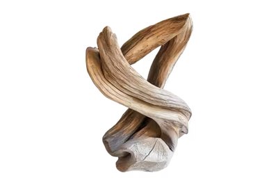 Agarwood Oud