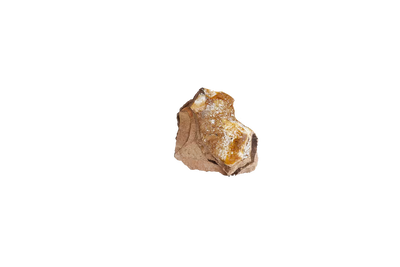 Ambergis