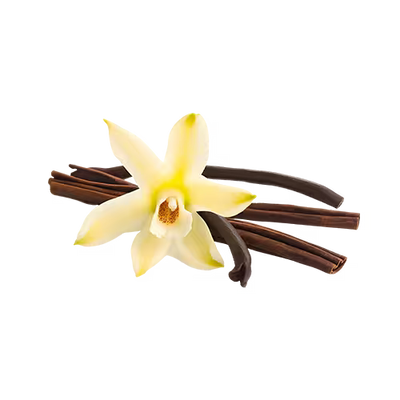 Vanilla